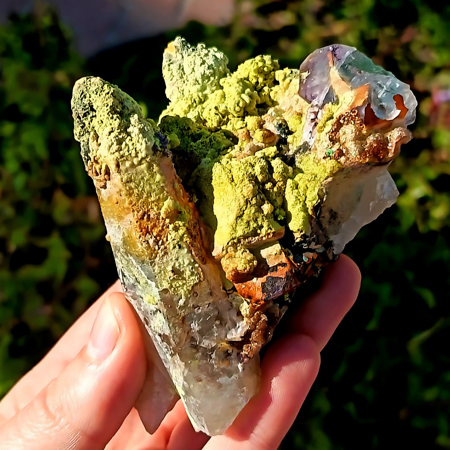 Rare Combination Of Quartz With Epidote On Fluorite And Tourmaline From Erongo Namibia - 292g