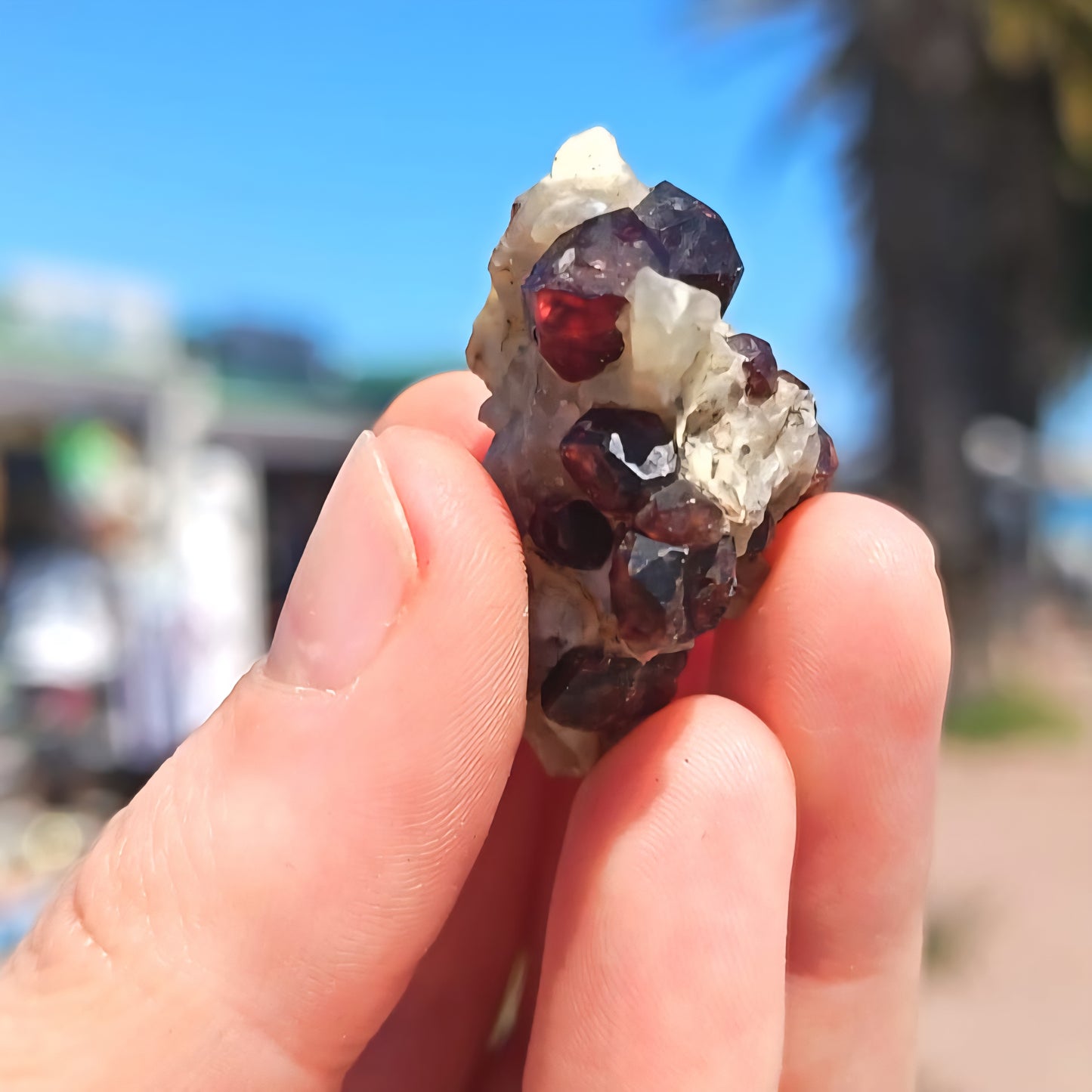 Garnet On Schist Karibib 15g