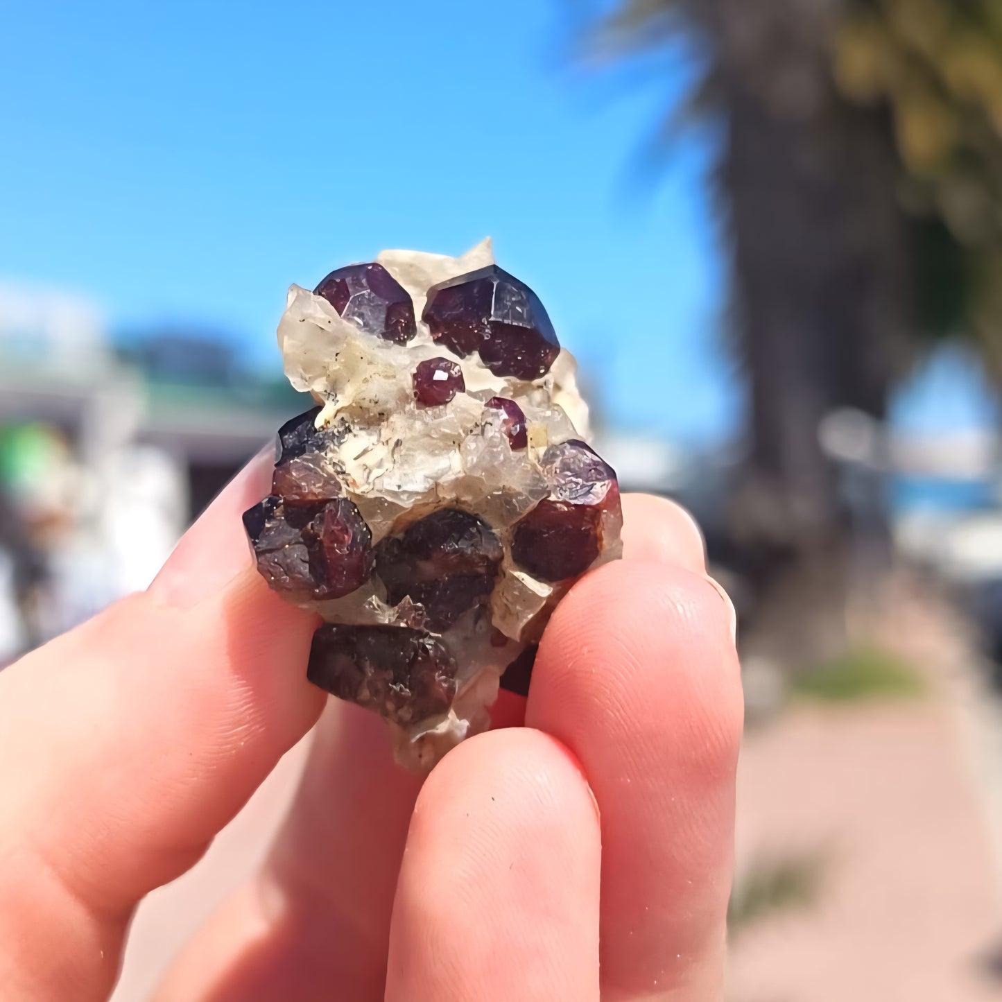 Garnet On Schist Karibib 15g