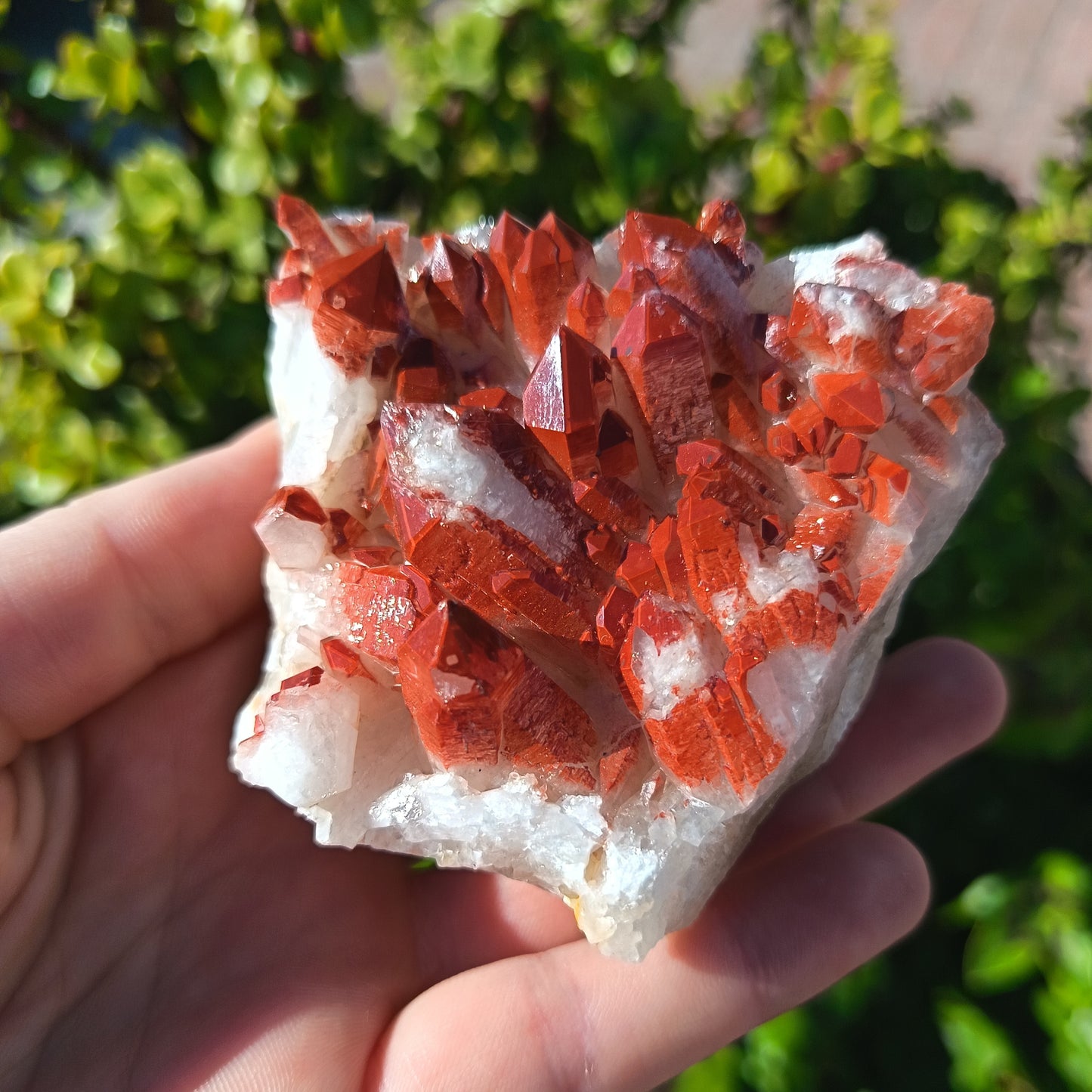 Orange River Quartz Cluster Medium