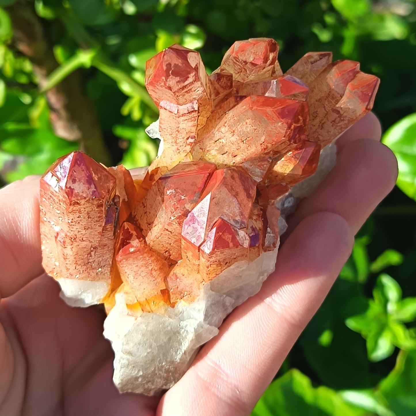 Orange River Quartz Cluster Small