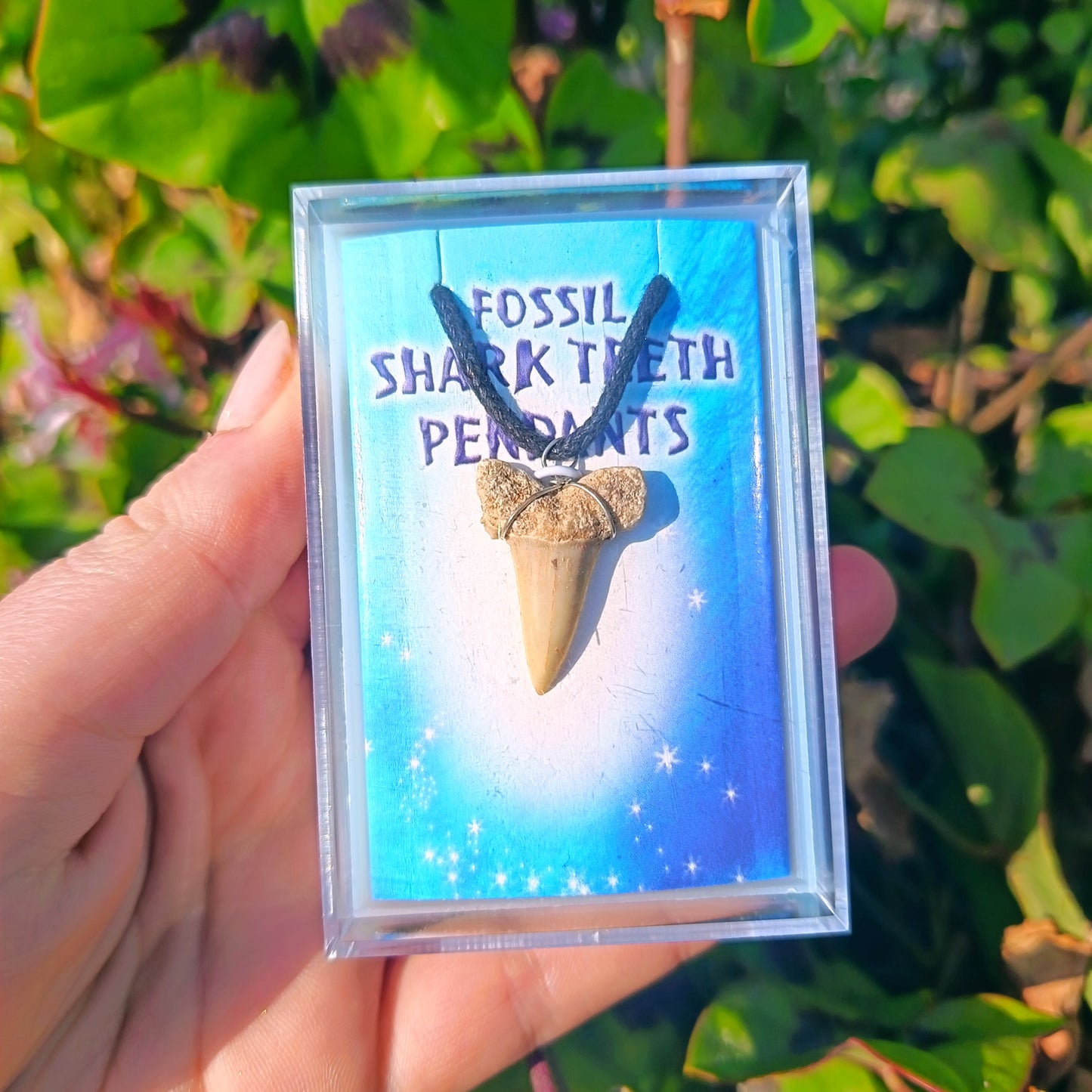 Fossil Shark Teeth Pendants