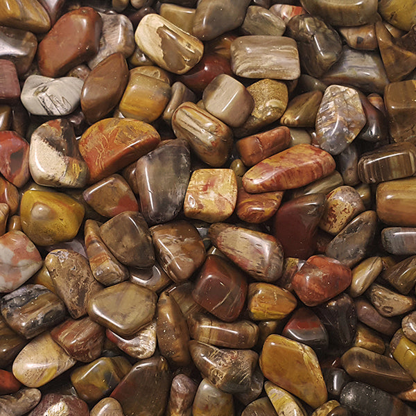 PETRIFIED WOOD TUMBLE