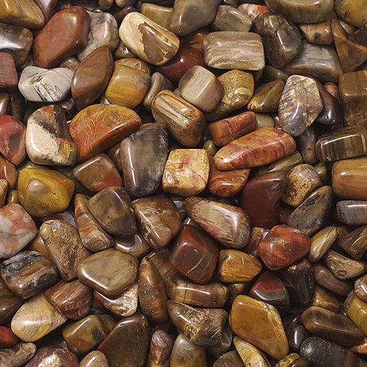 PETRIFIED WOOD TUMBLE