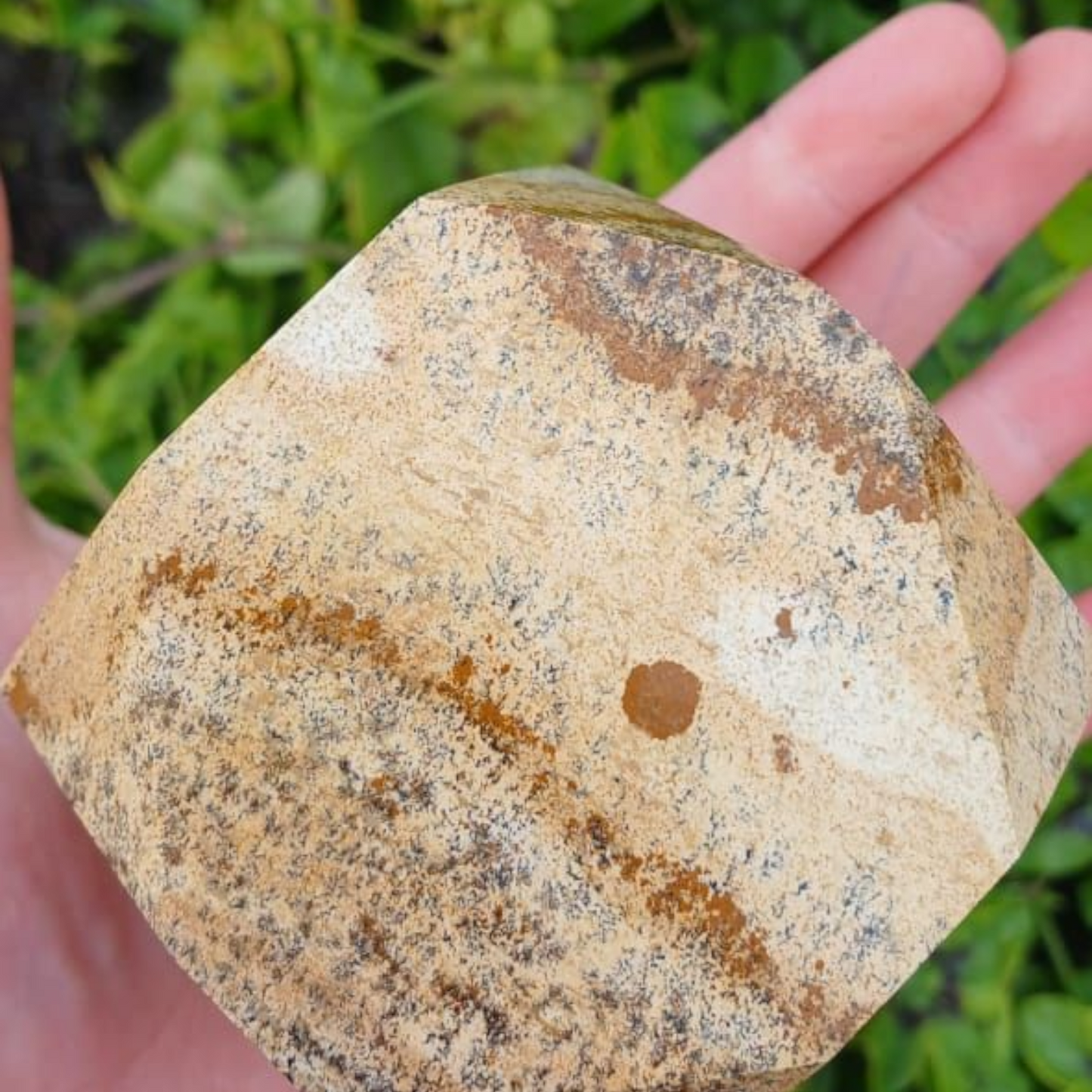 PICTURE JASPER HEPTAGON