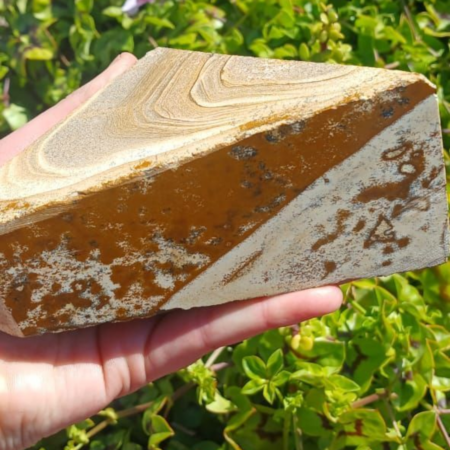 PICTURE/DESERT JASPER POLISHED 1.1kg