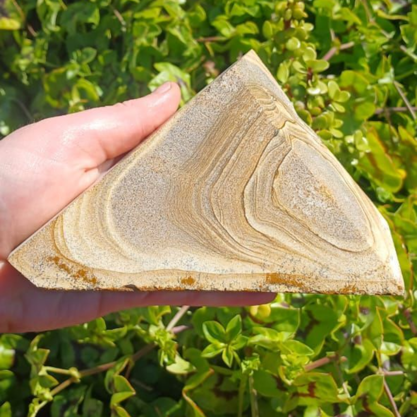 PICTURE/DESERT JASPER POLISHED 1.1kg