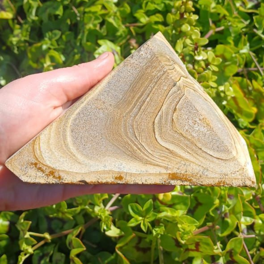 PICTURE/DESERT JASPER POLISHED 1.1kg