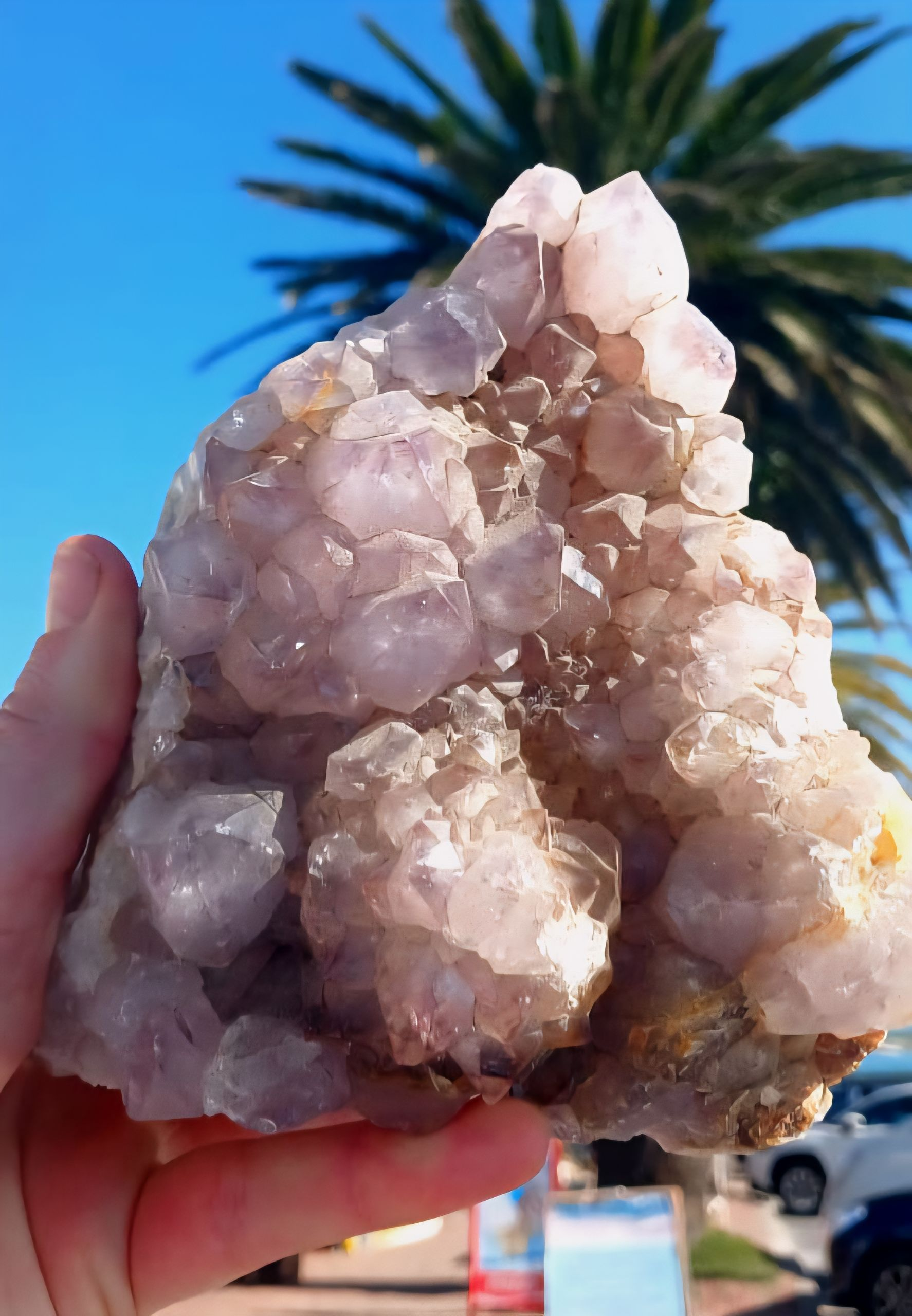 AMETHYST CLUSTER 14CM 1.33kg