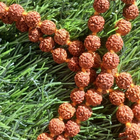 RUDRAKSHA PRAYER BEADS