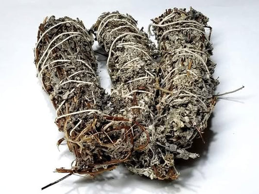 IMPHEPHO (AFRICAN SAGE)