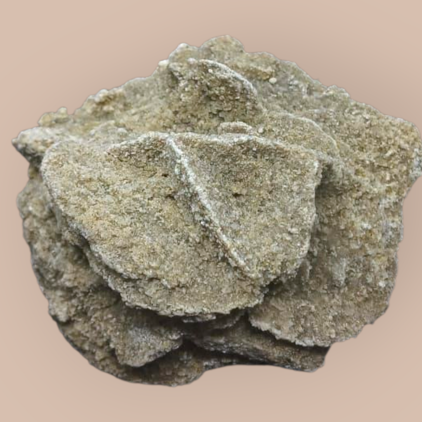 DESERT ROSE SPECIMEN