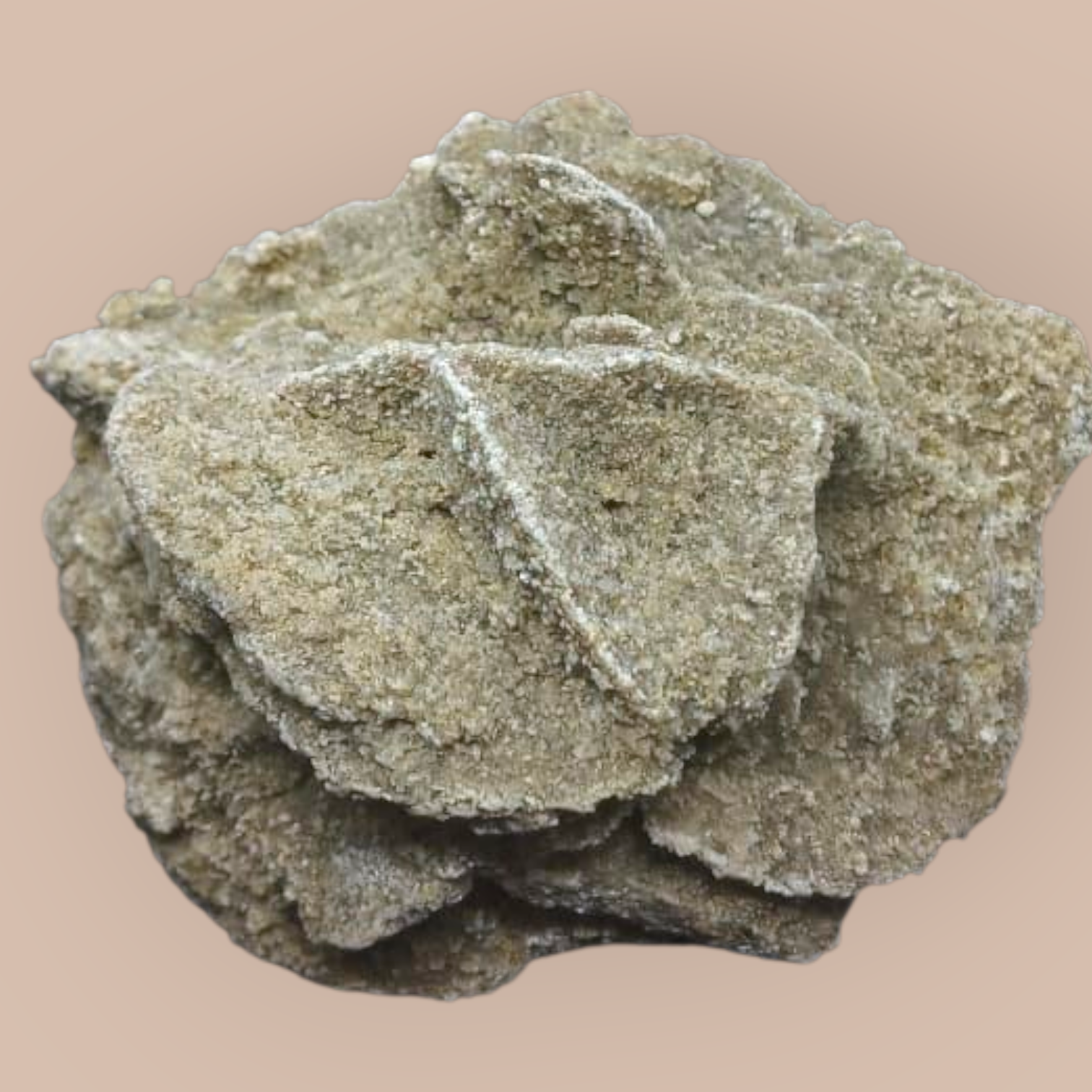 DESERT ROSE SPECIMEN