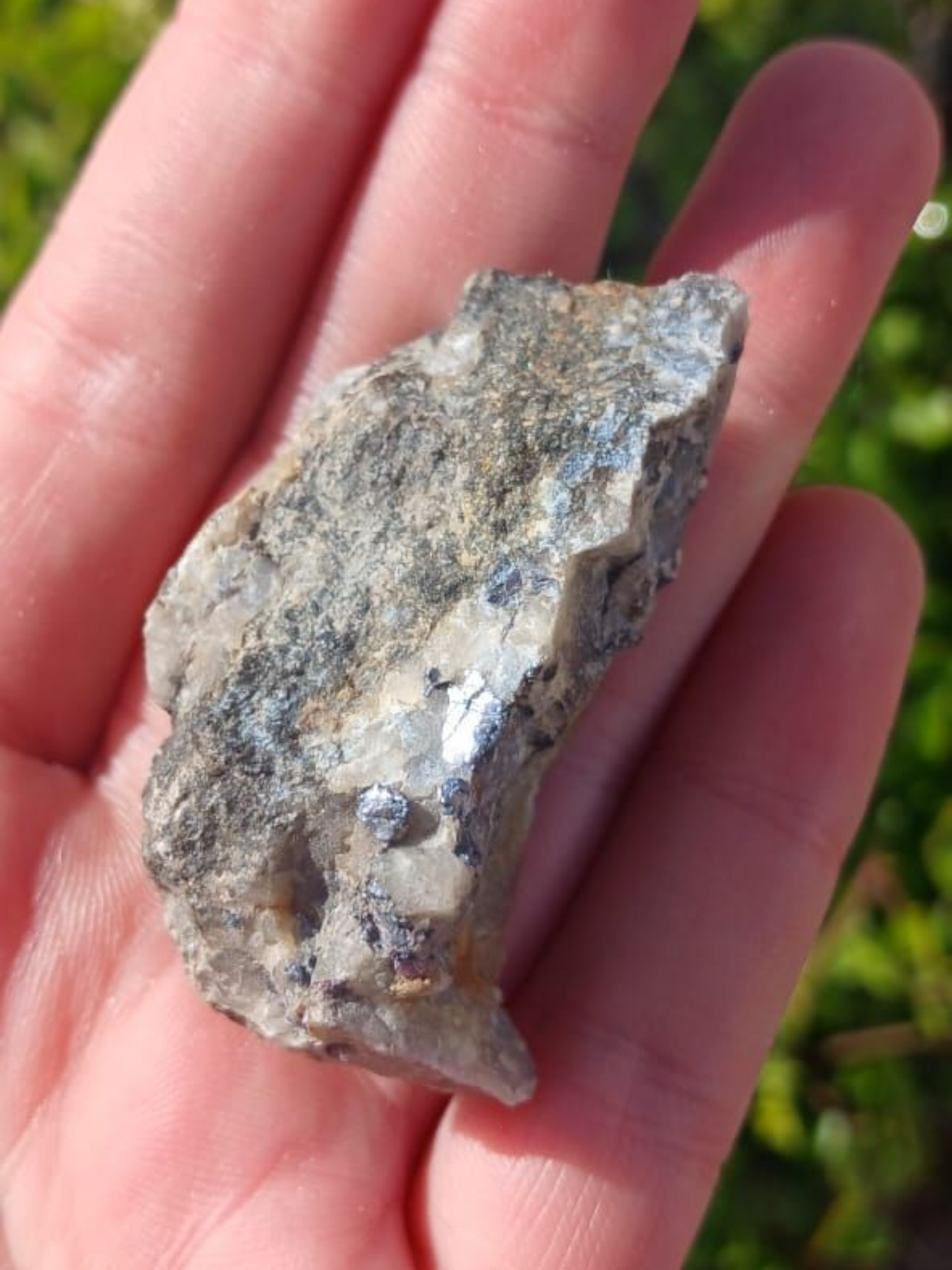 MOLYBDENITE IN MATRIX