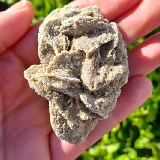 DESERT ROSE SPECIMEN