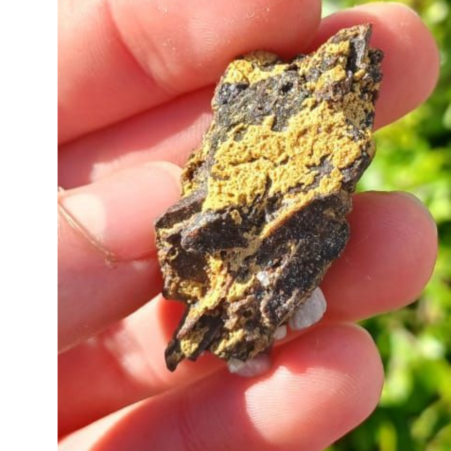 ETTINGITE ON A MATRIX