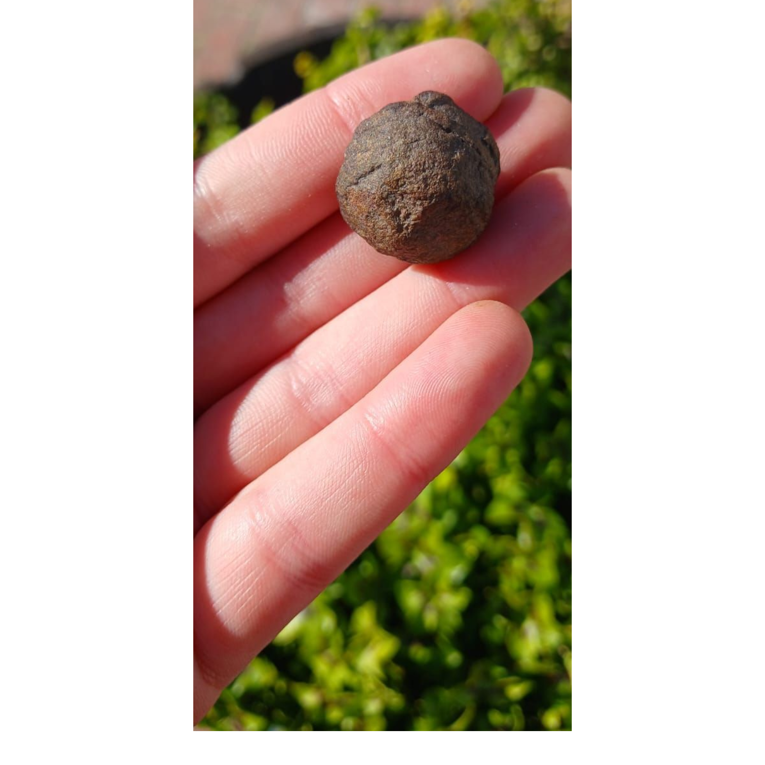 MOCQUI BALL (MARBLE)