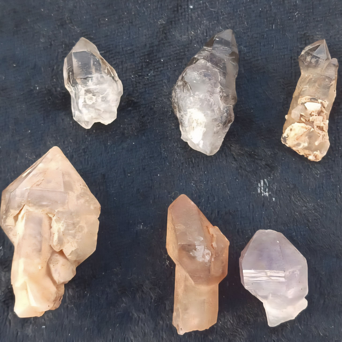 ORANGE RIVER SCEPTRES