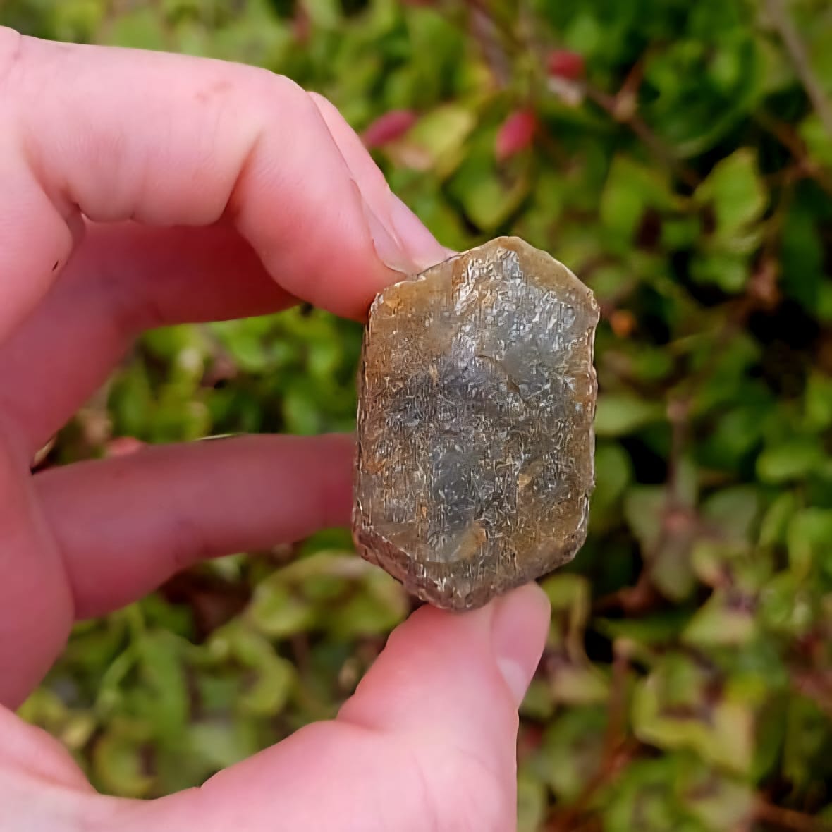 CORUNDUM GREEN AND BROWN