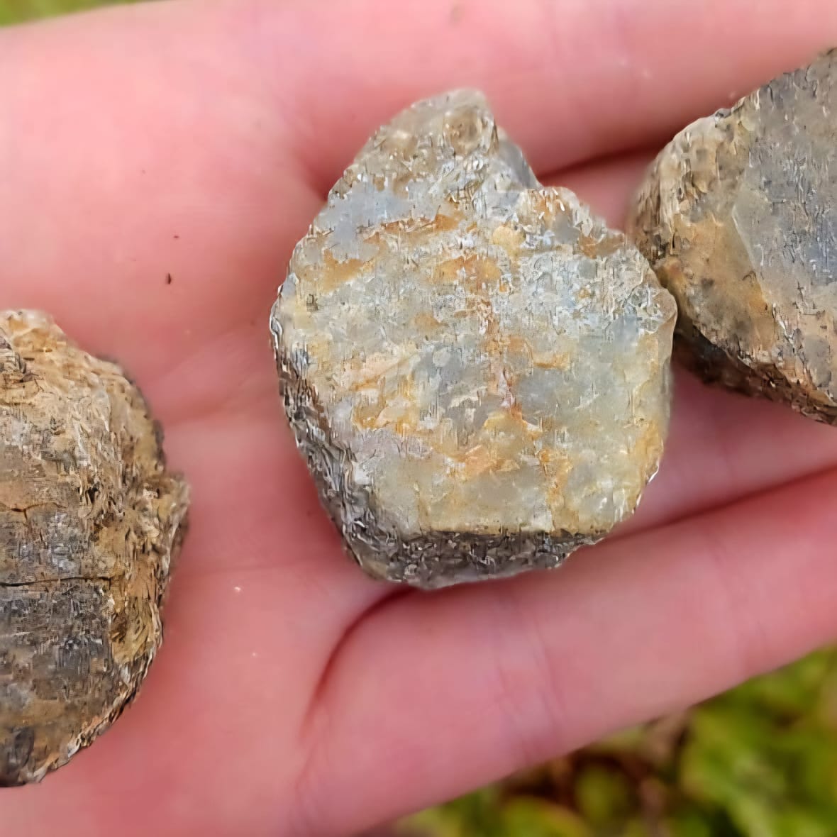 CORUNDUM GREEN AND BROWN