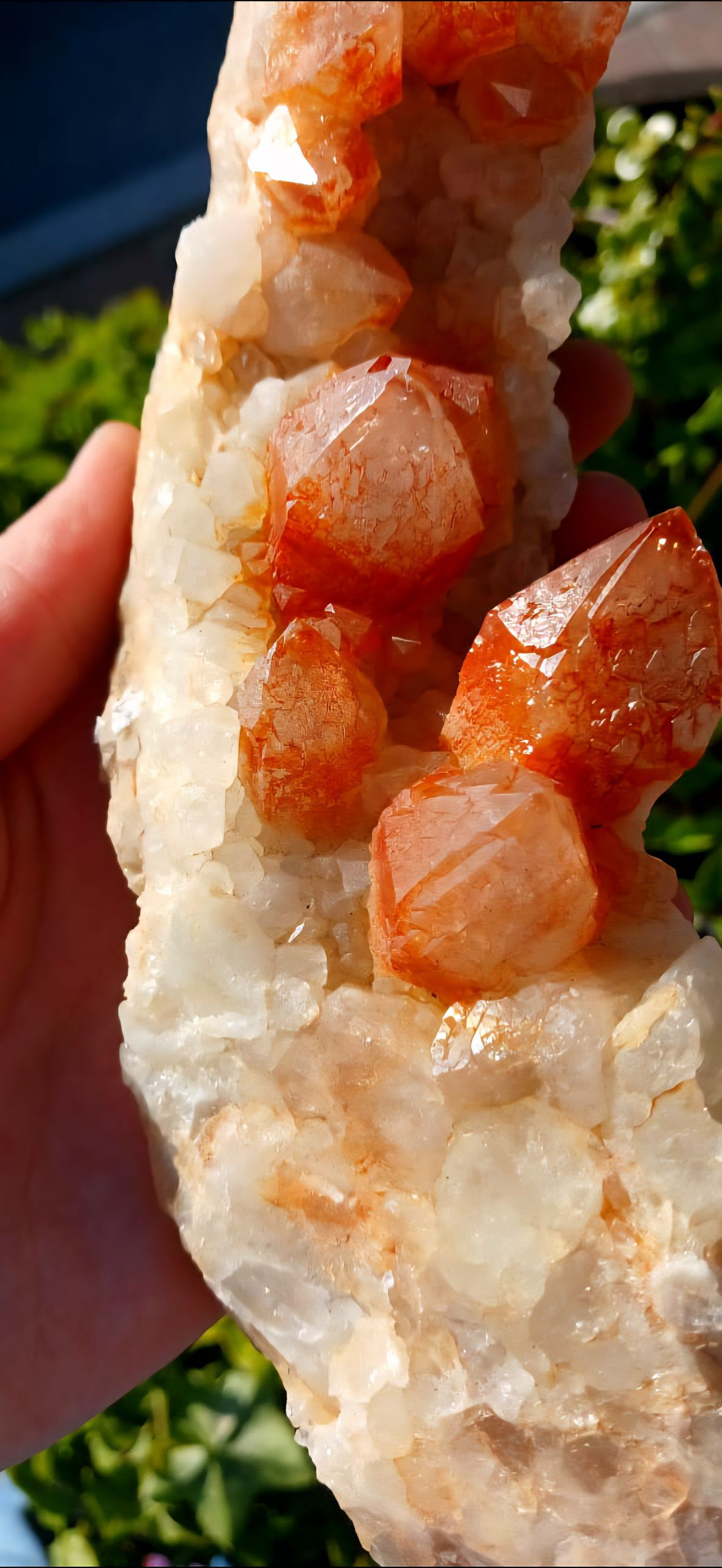 ORANGE RIVER CLUSTER 21CM 604grams