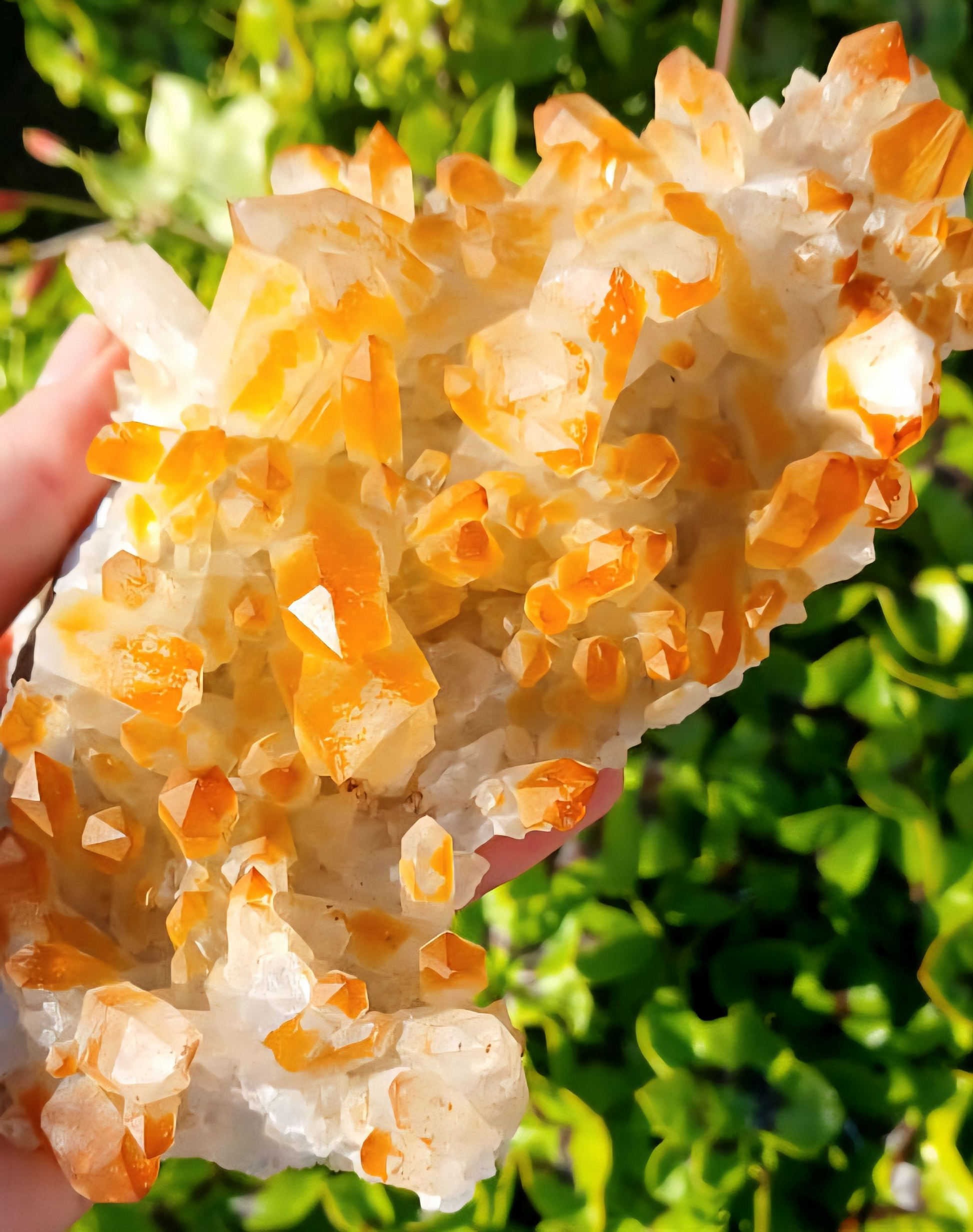 ORANGE RIVER QUARTZ CLUSTER 14CM 547grams