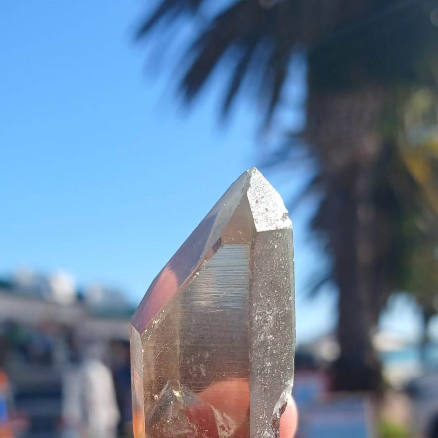 SMOKEY QUARTZ POINTS WITH WINDOW TERMINATIONS