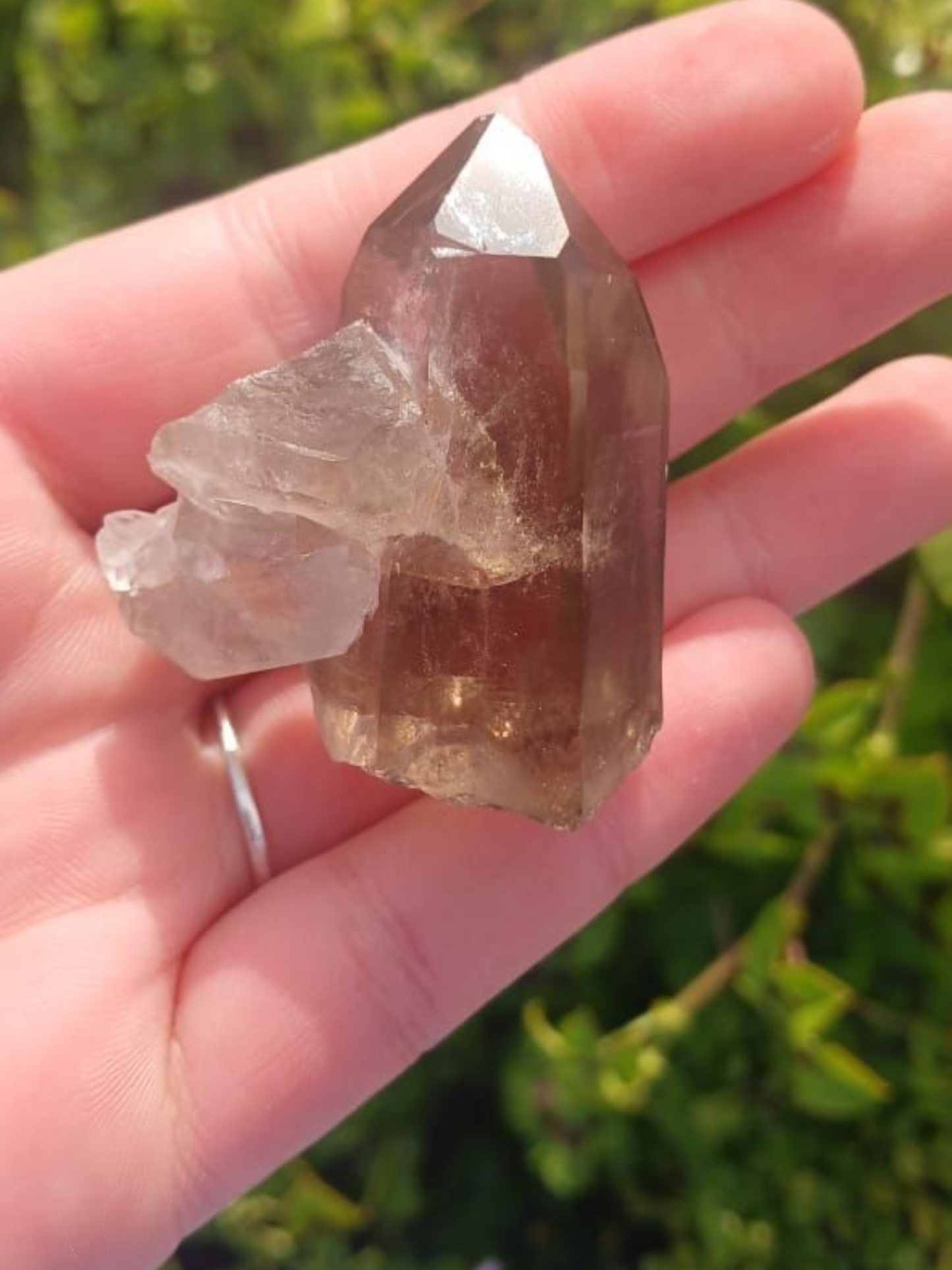 SMOKEY QUARTZ POINT WINDOW