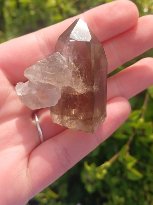 SMOKEY QUARTZ POINT WINDOW