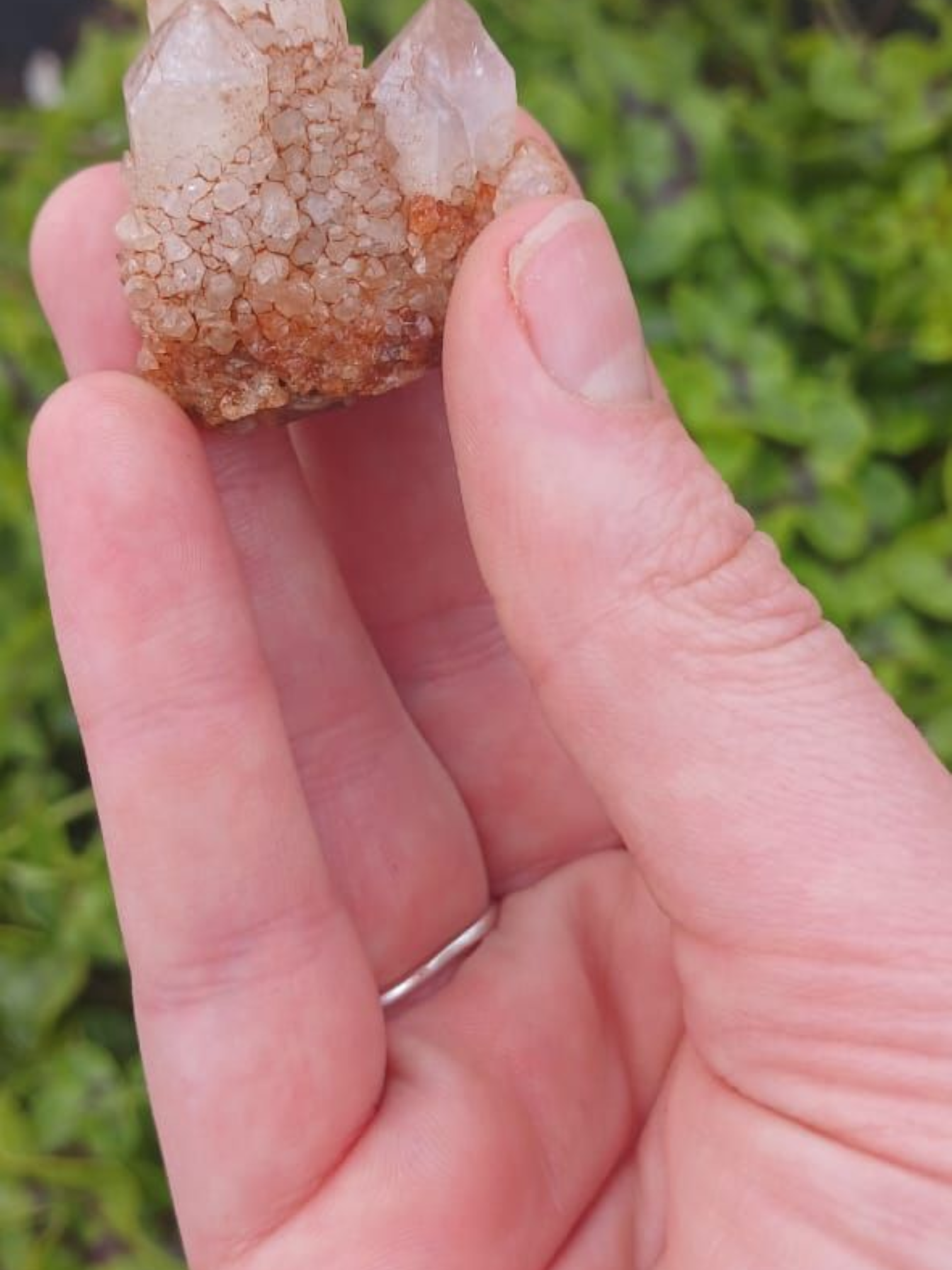 NORTHEN CAPE  PINEAPPLE  QUARTZ