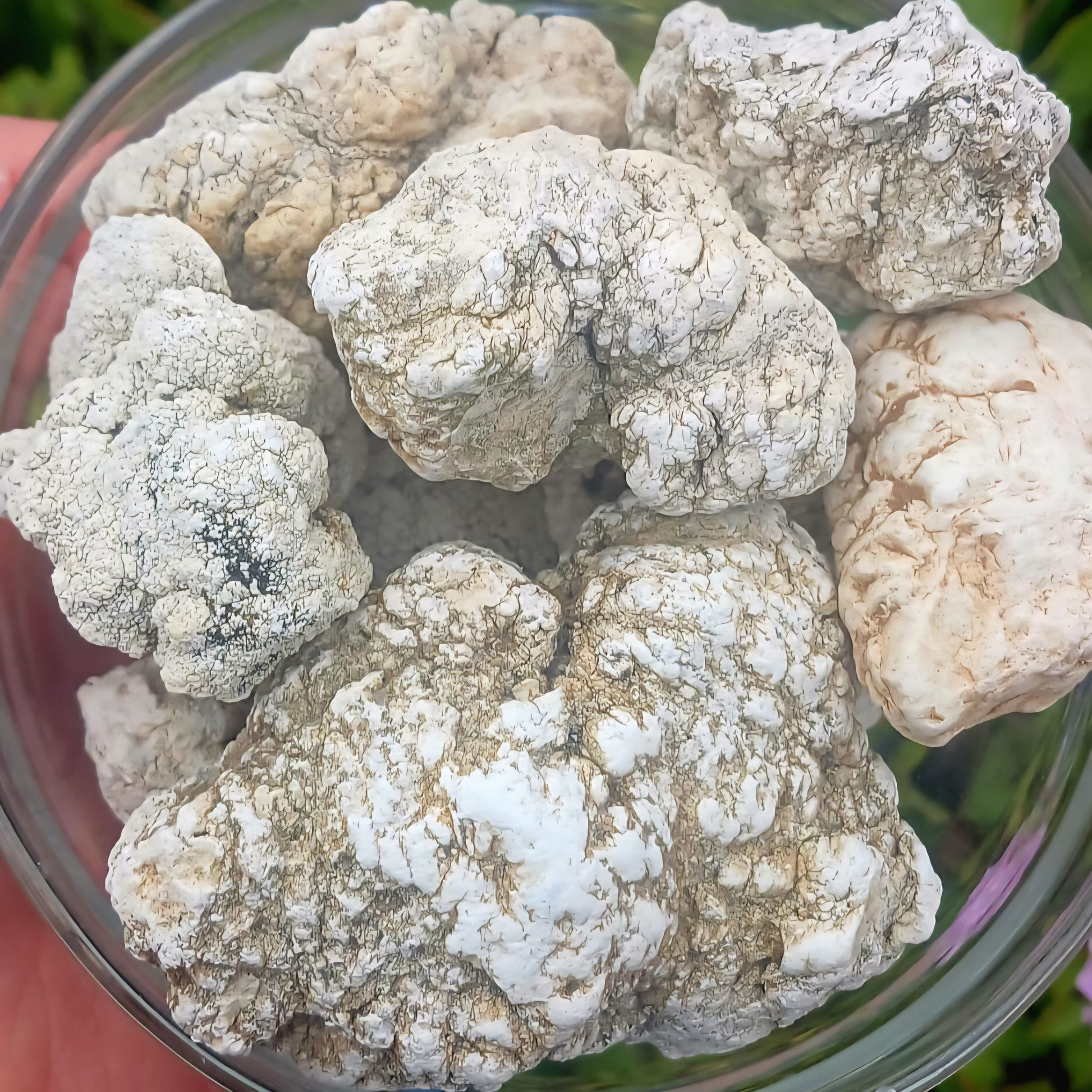 MAGNESITE WHITE RAW LARGE