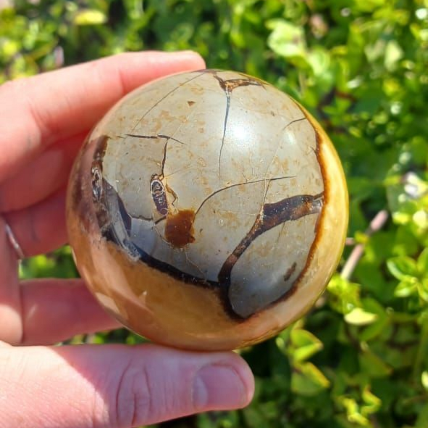 POLISHED SEPTERYE SPHERE 6CM