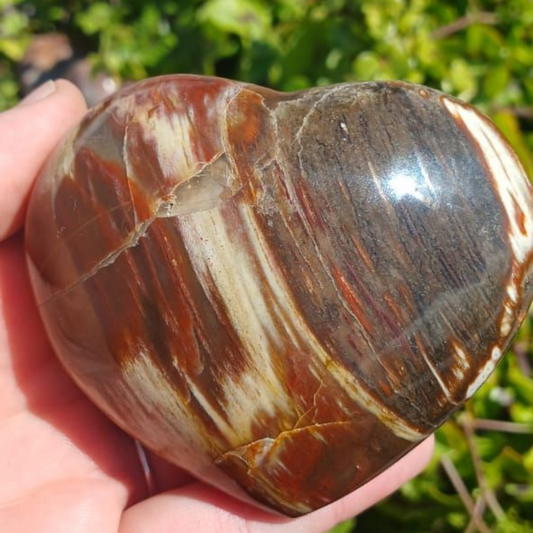 PETRIFIED WOOD HEART