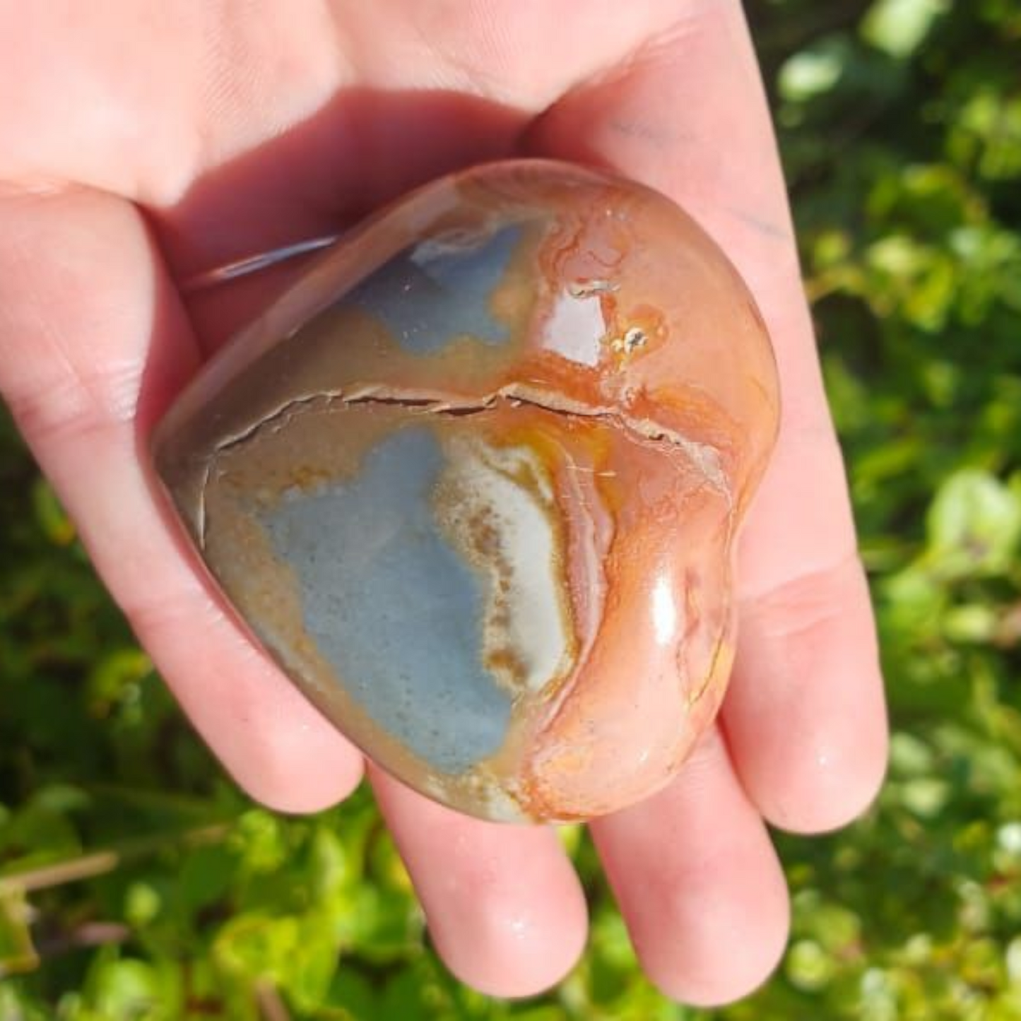 POLYCHROME JASPER HEARTS