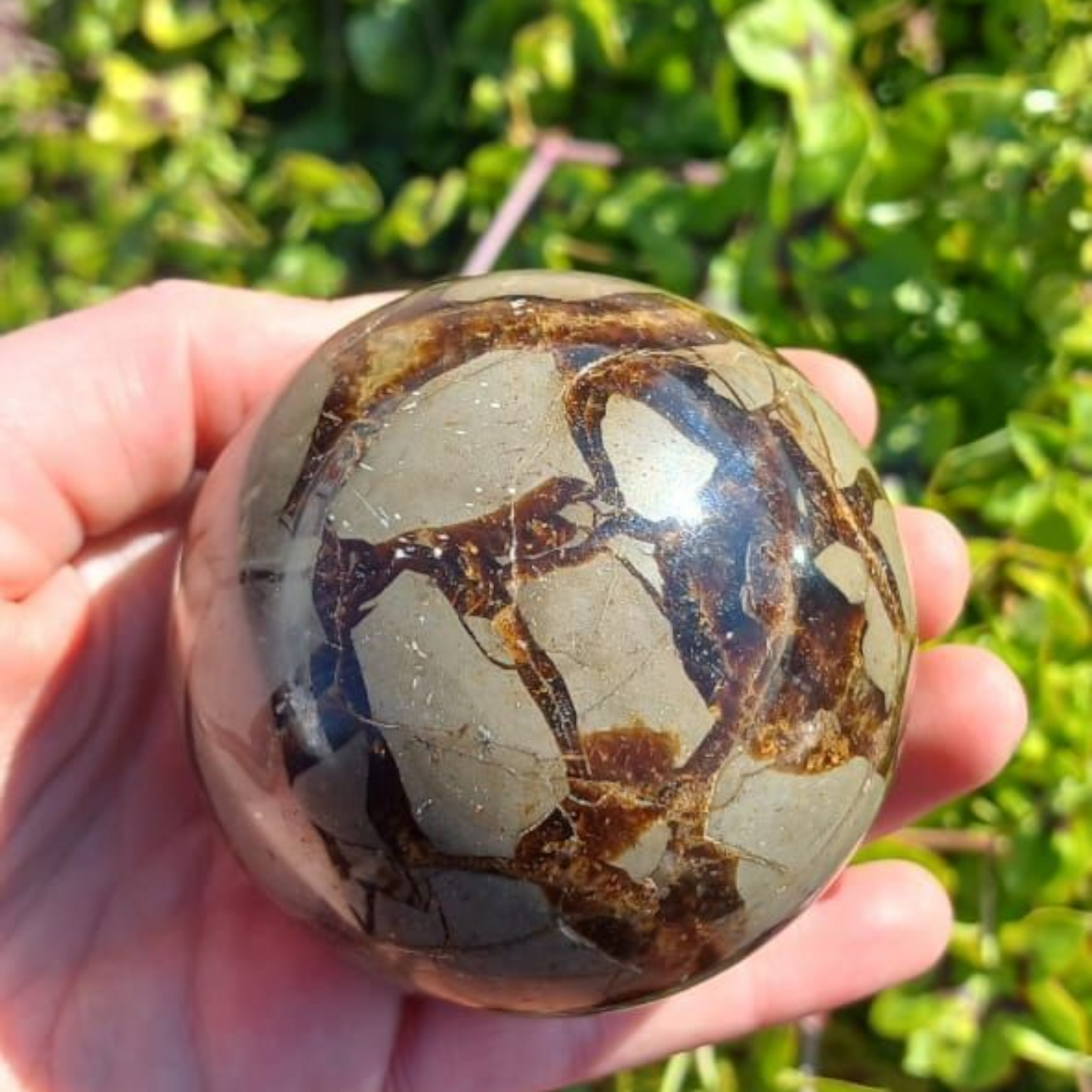 POLISHED SEPTERYE SPHERE 6CM