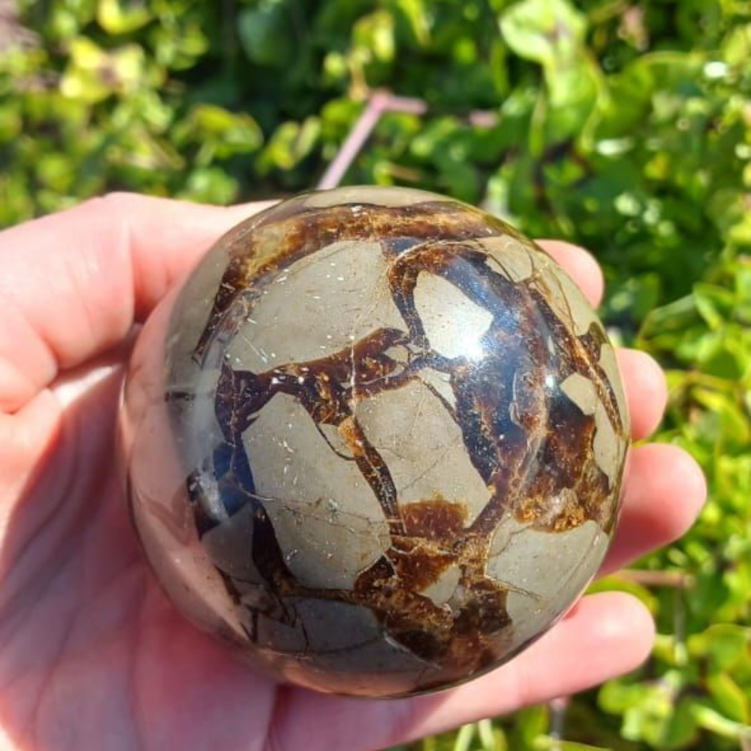 POLISHED SEPTERYE SPHERE 6CM