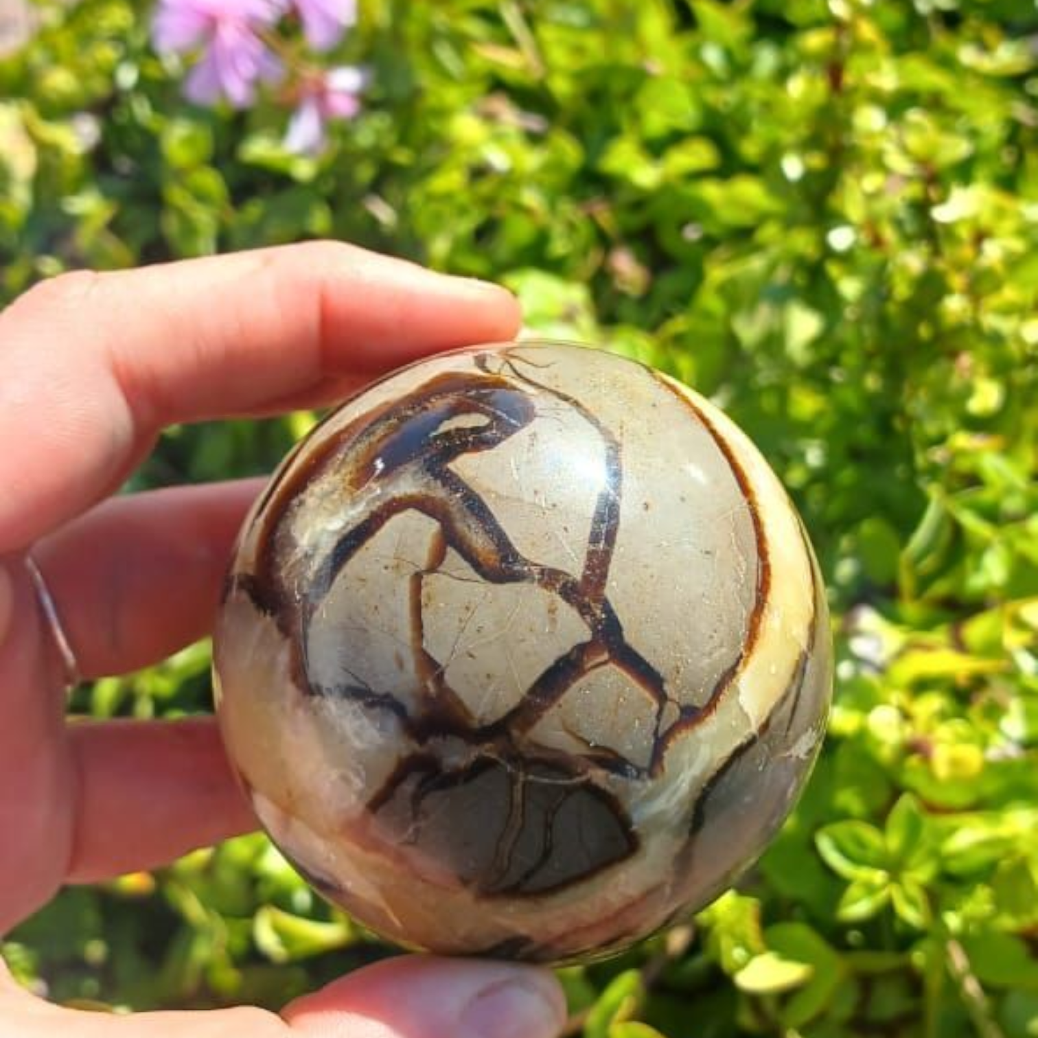 POLISHED SEPTERYE SPHERE 6CM