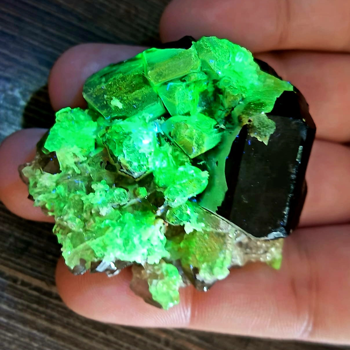 Smokey Cluster With Black Tourmaline And Hyalite Opal - Erongo - 53g