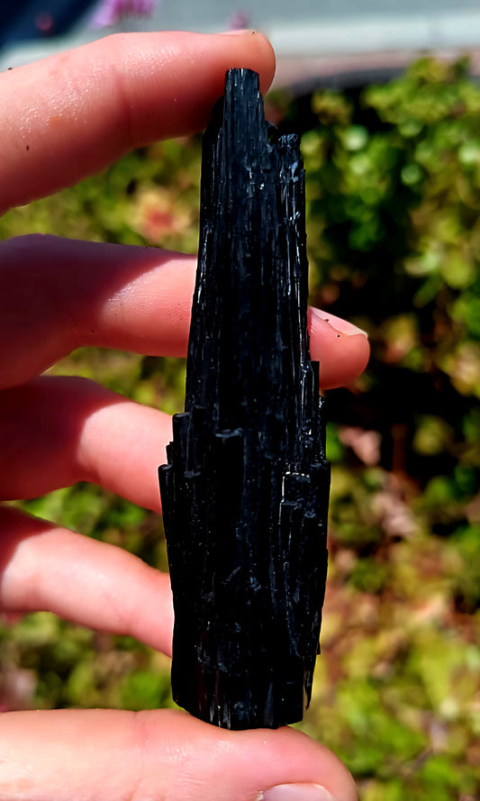 Multi Terminated Schorl/Black Tourmaline From Erongo  48-64g