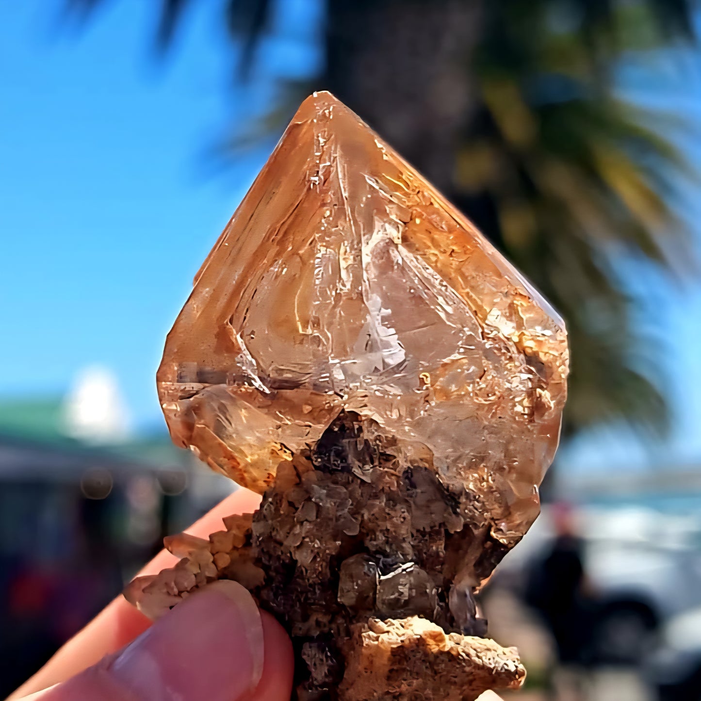 Skeletal Fenster Sceptre Smokey Smokey Brandberg Point  66g