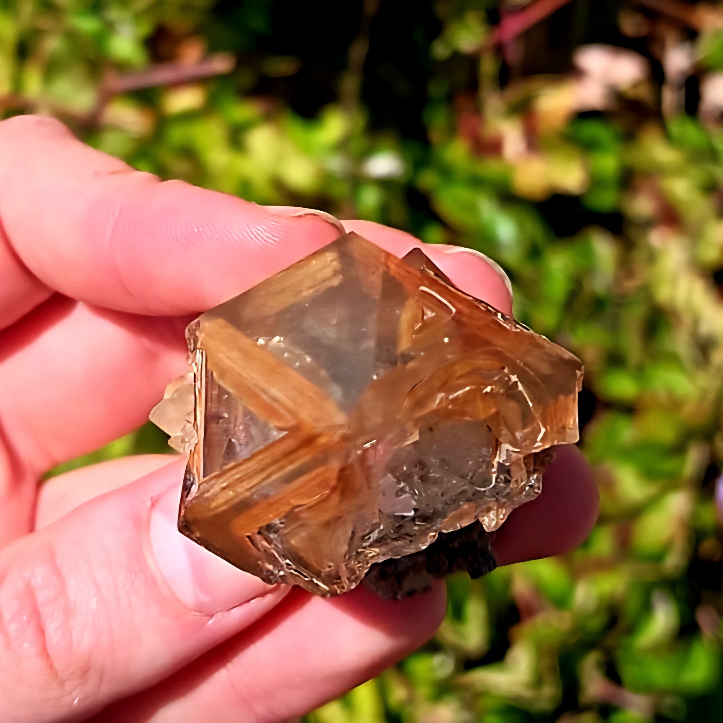 Skeletal Fenster Sceptre Smokey Smokey Brandberg Point  66g