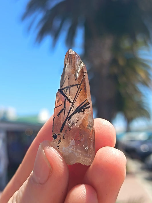 Tourmalated Quartz Point From Erongo