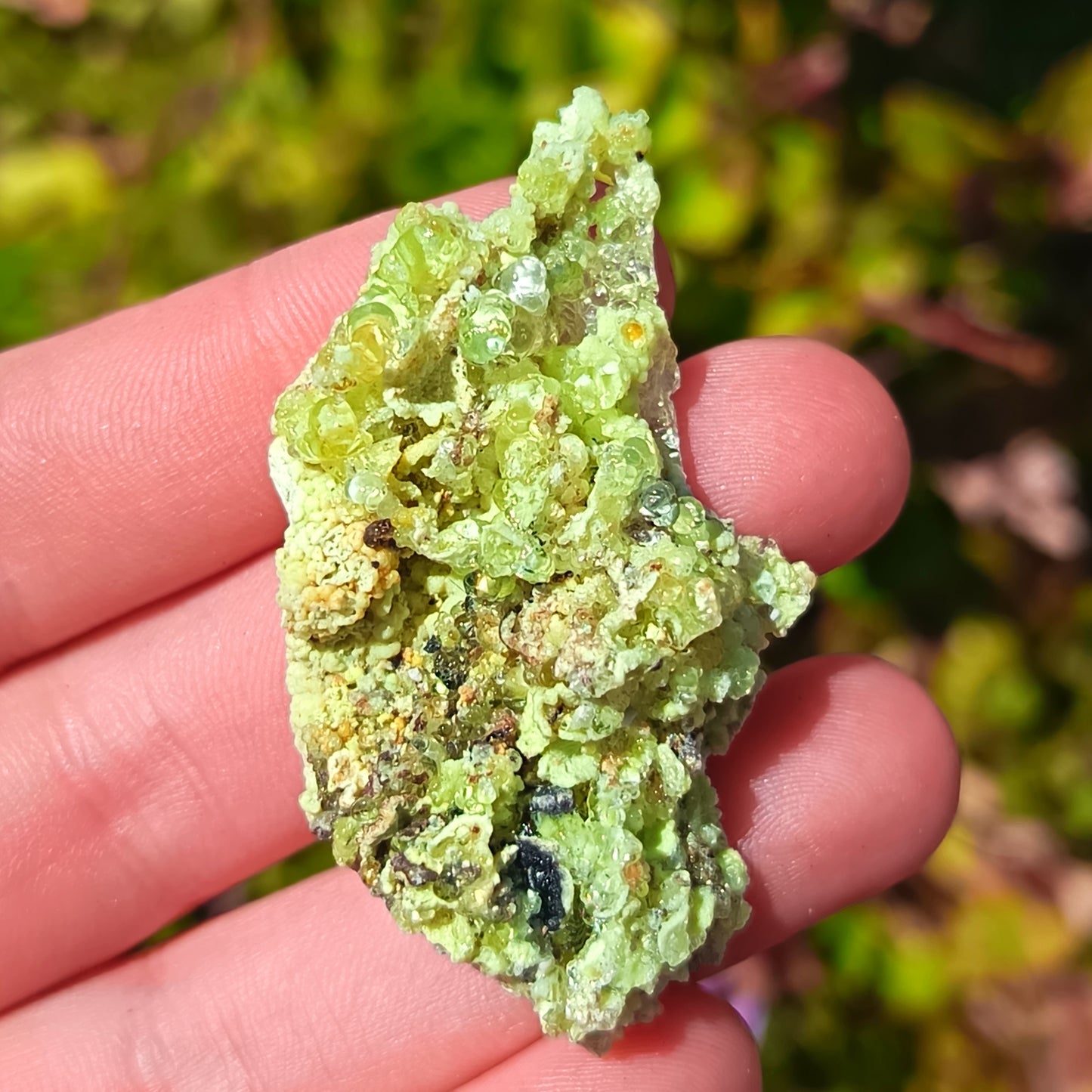 Fluorescent Botryoidal Hyalite Opal - Erongo 10g