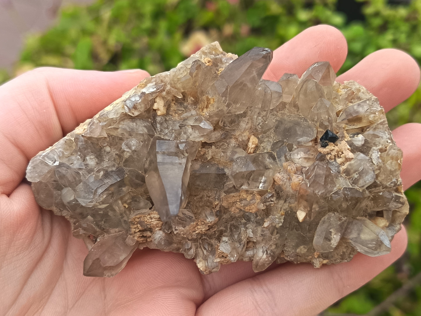 Smokey Cluster Tessin Habit Namibia- 138g