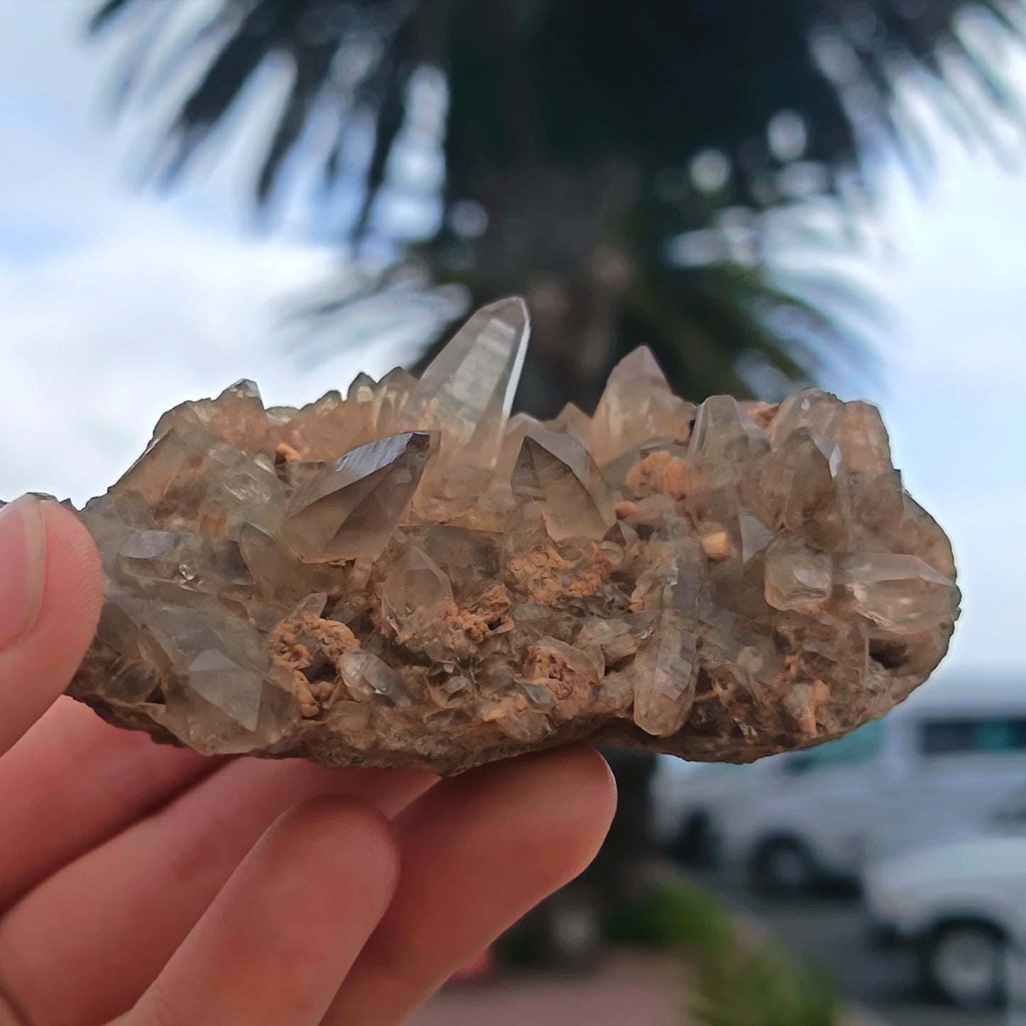 Smokey Cluster Tessin Habit Namibia- 138g