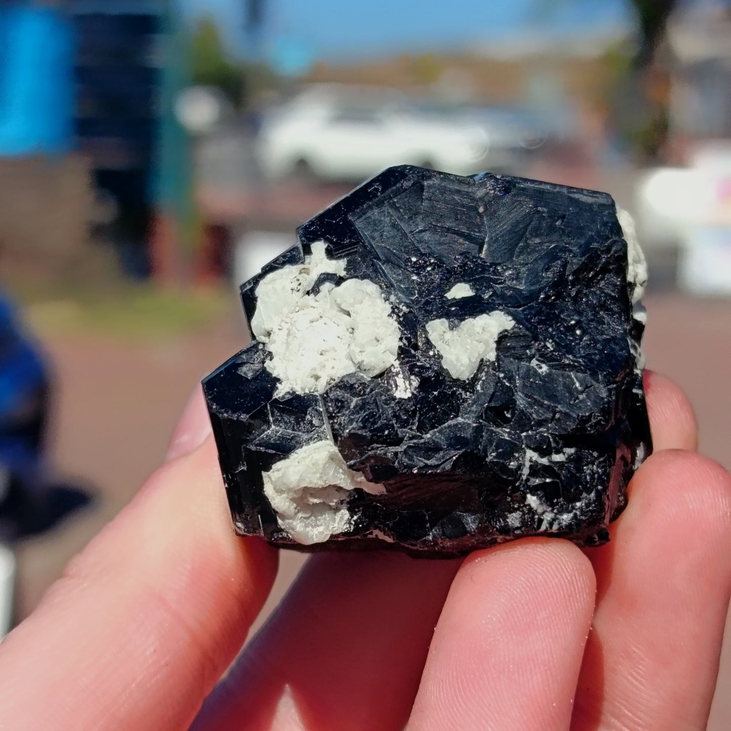 Black Tourmaline with Feldspar From Erongo - 85g Unique