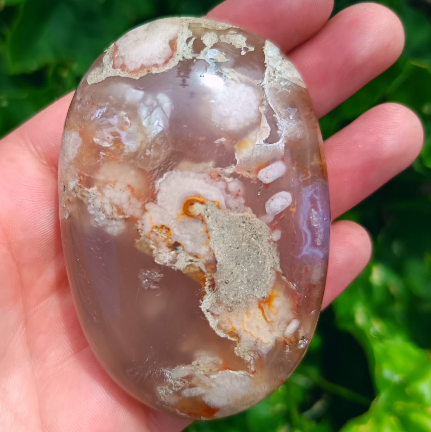 Ocean Flower Agate Fossil Gallet