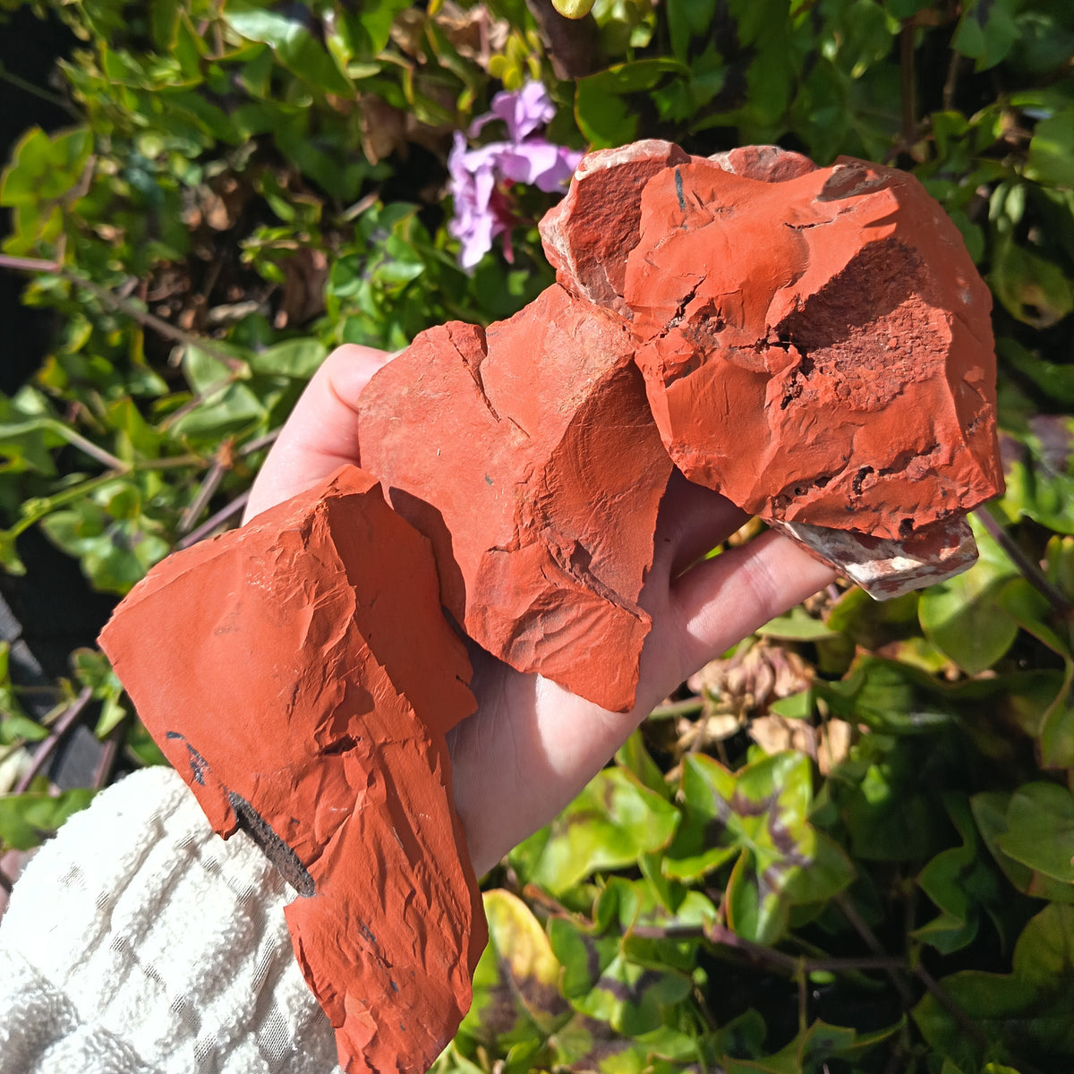 Red Jasper Raw