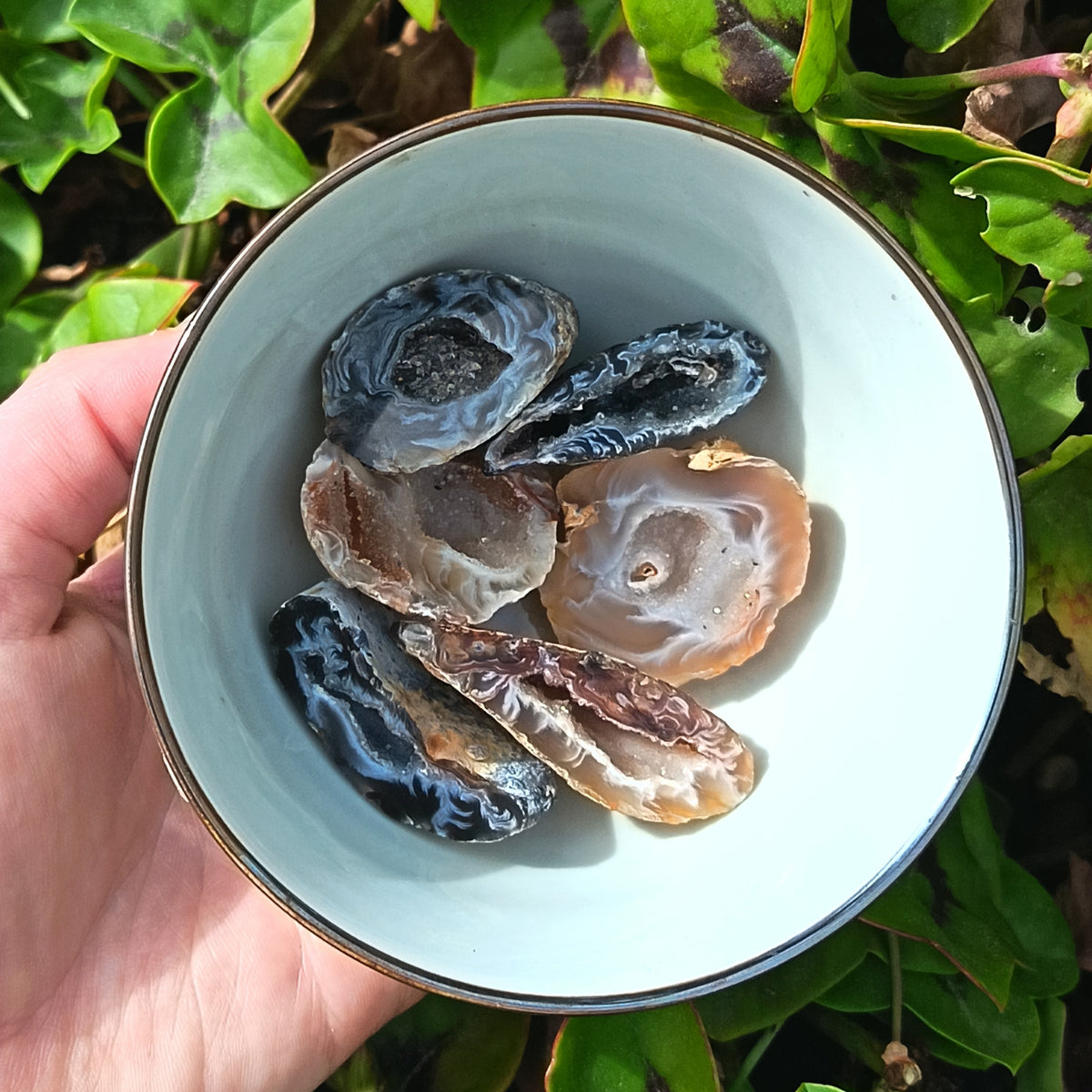 Oco Geodes