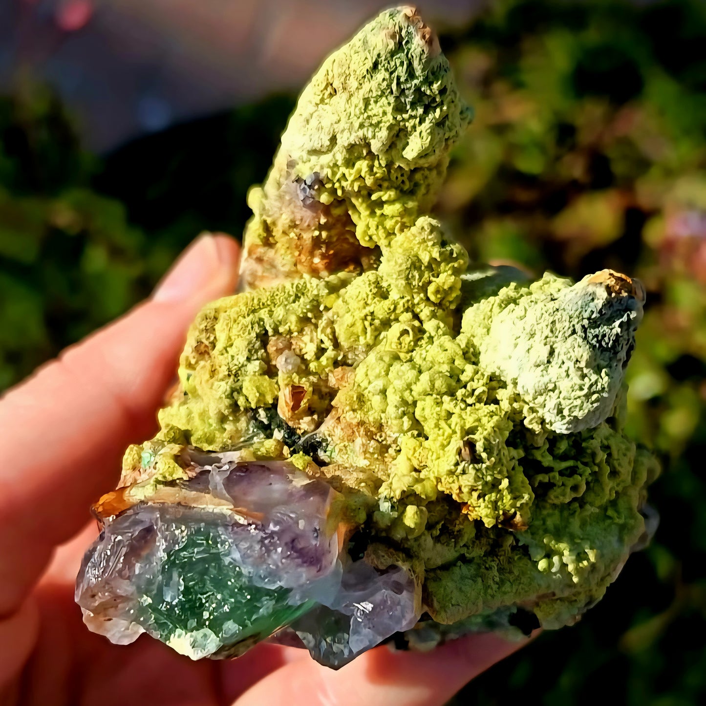 Rare Combination Of Quartz With Epidote On Fluorite And Tourmaline From Erongo Namibia - 292g